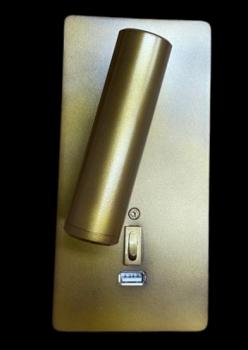 APLIQUE LECTOR  - 